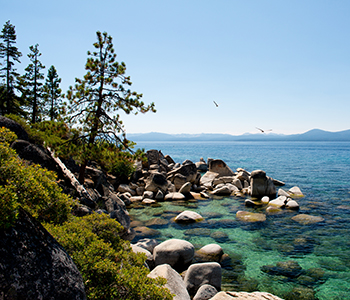 //www.commerce.wa.gov/wp-content/uploads/2015/08/350x300px_WaCoast.jpg