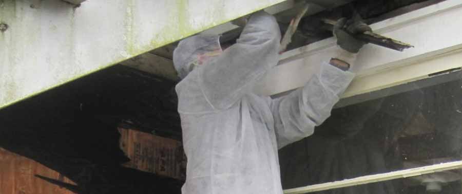 A worker removes lead-based paint from a structure