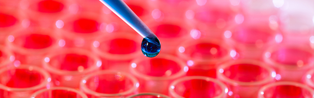Commerce awards $1 million to support small businesses in life sciences and health IT