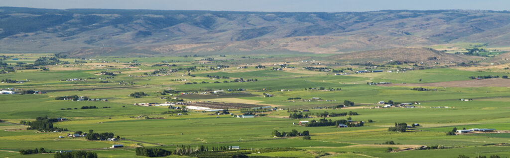 Fields in Ellenburg, Washiongton