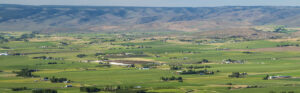 Fields in Ellenburg, Washiongton