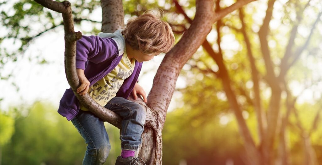 Little blonde hair boy in orchard climbing tree. Sunshine in background. Shallow depth of field.