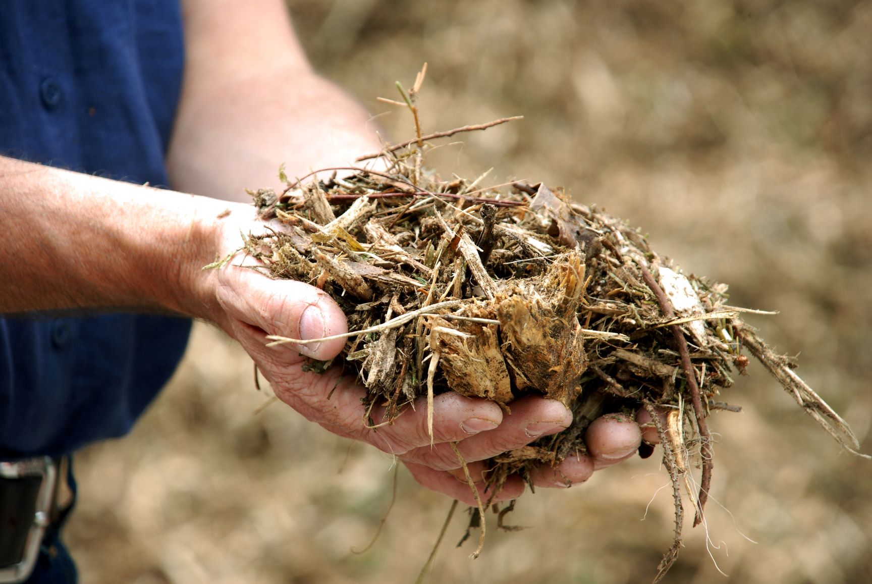 Man's hand holding biomass
