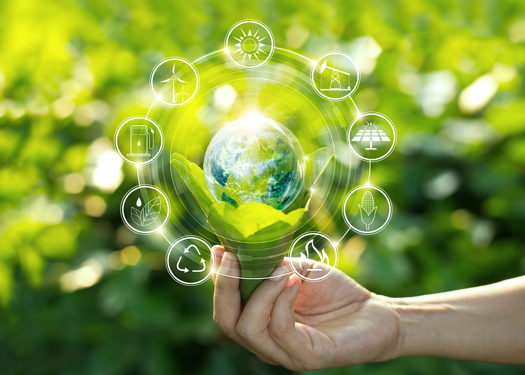 Hand holding light bulb against nature on green leaves with icon