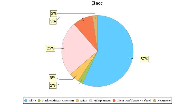 HMIS race chart