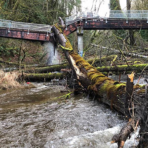 Percival Creek Bridge in Olympia