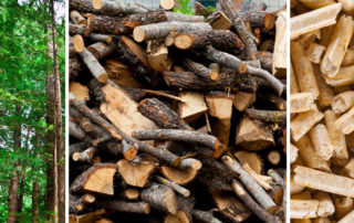Various wood types in piles