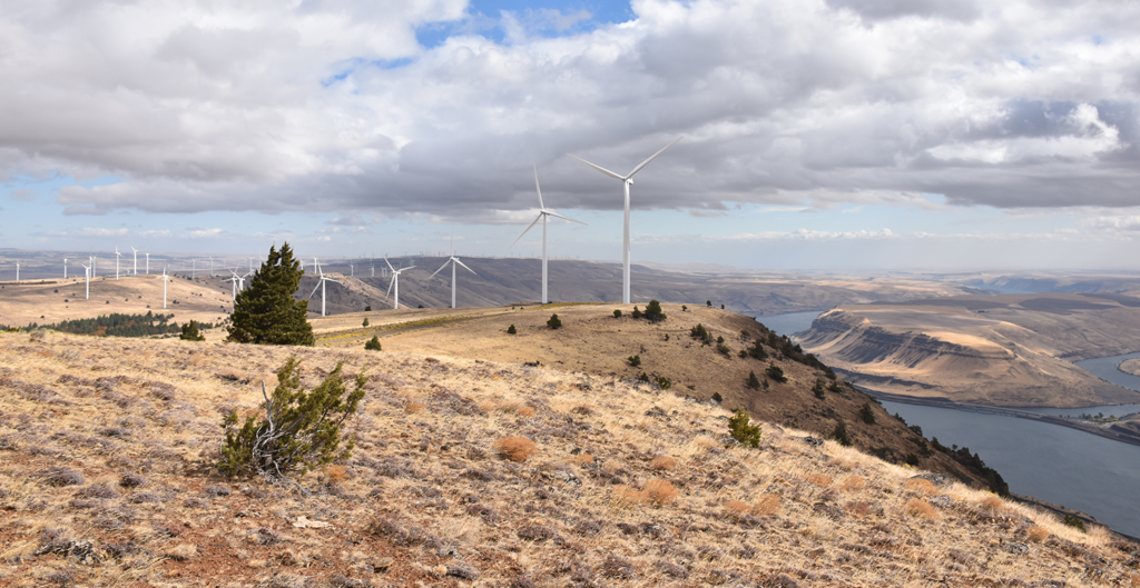 Wind turbines in Washington