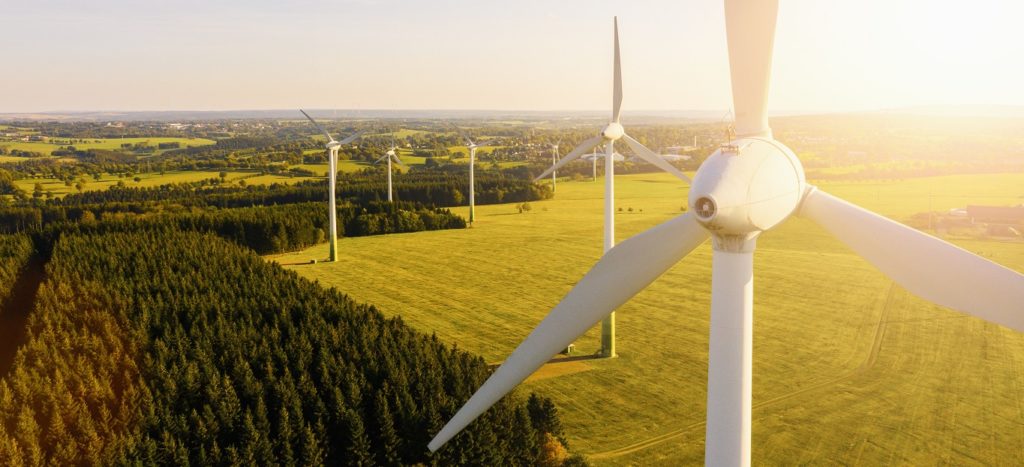 Photograph of wind energy turbines