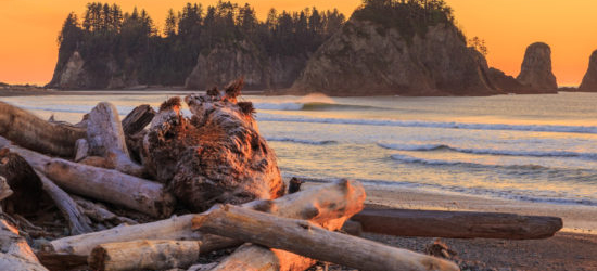 PNW beach at sunset