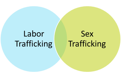Labor - Sex Trafficking