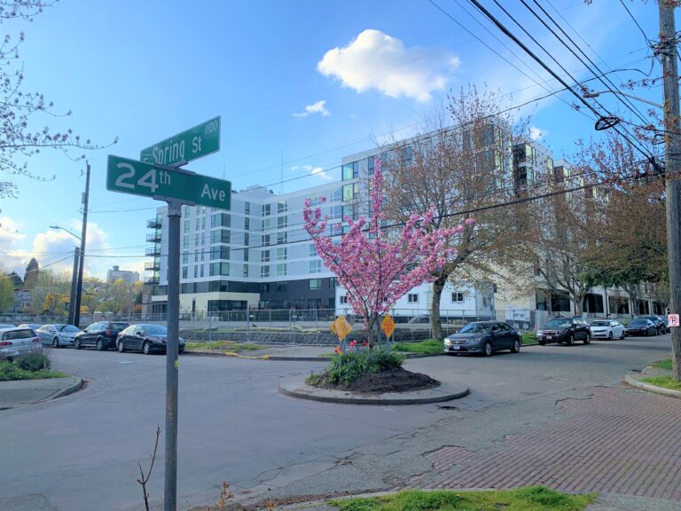 Street view of Spring Street and 24th Avenue