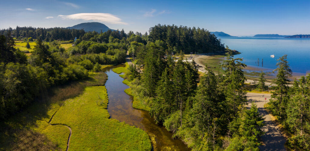 Photo of wetland area Puget Sound basin